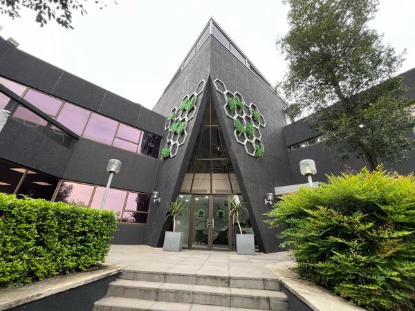 44.6 m² Commercial space