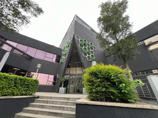 52.9 m² Commercial space