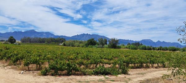 30 ha Farm
