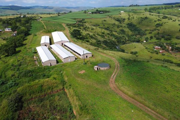 27.7 ha Smallholding