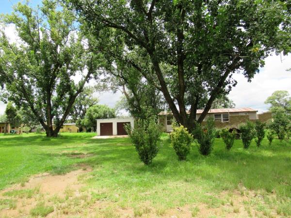 223 ha Commercial Farm