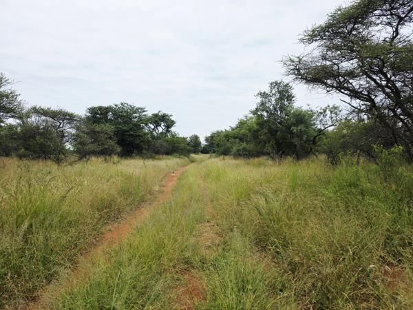 20.9 ha Smallholding