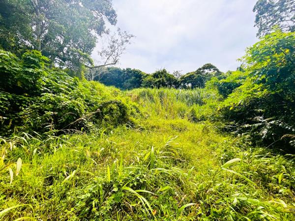 2 515 m² Land
