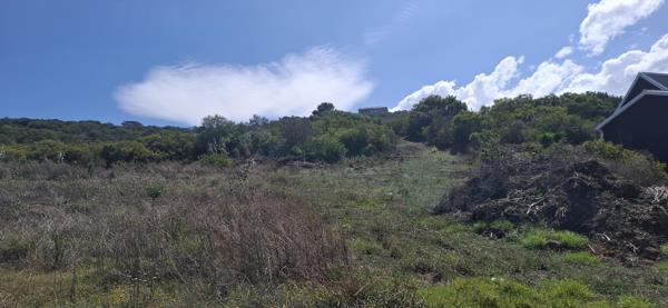 780 m² Land