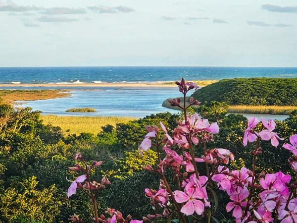 2 023  m² Commercial space