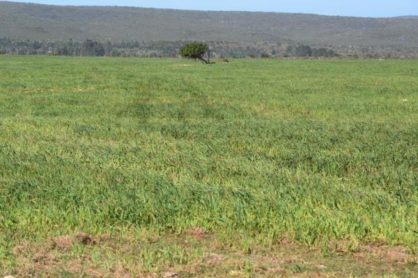 90.5 ha Farm