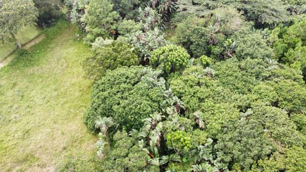 1 417 m² Land