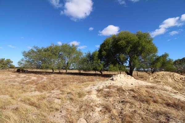 56.6 ha Farm