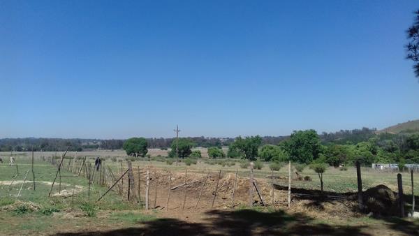 39.9 ha Farm