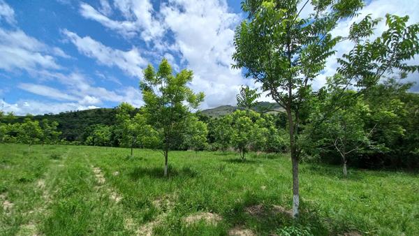 72 ha Farm