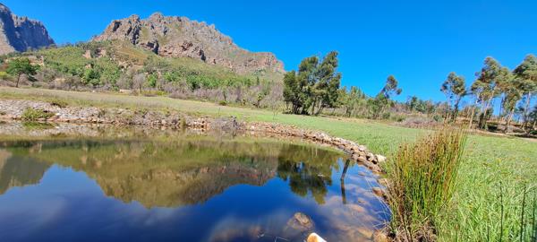 14 ha Farm