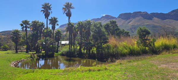 14 ha Farm