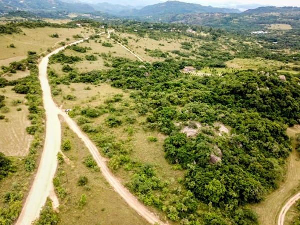 8.8 ha Smallholding