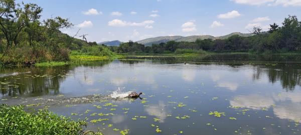 4 175 m² Land