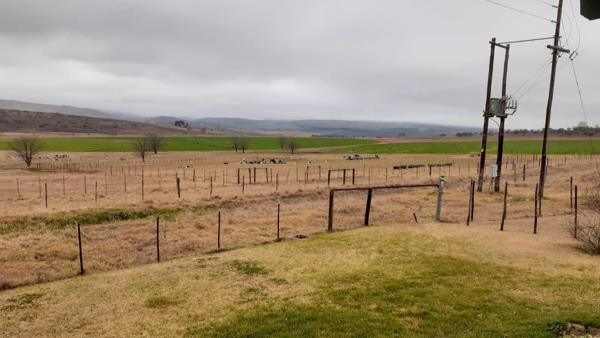 685 ha Farm