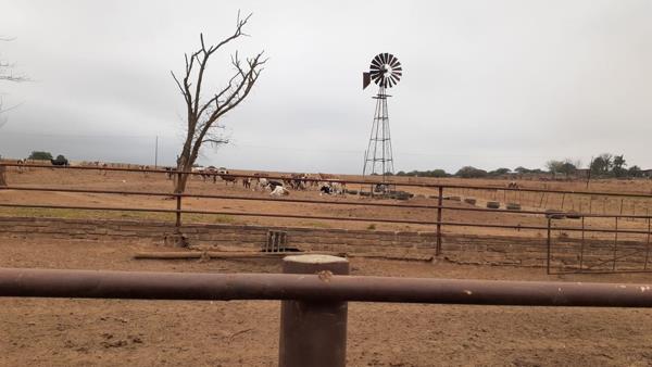 685 ha Farm