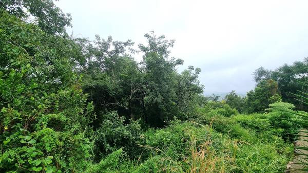 875 m² Land