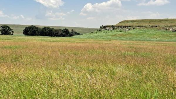 481.6 ha Farm