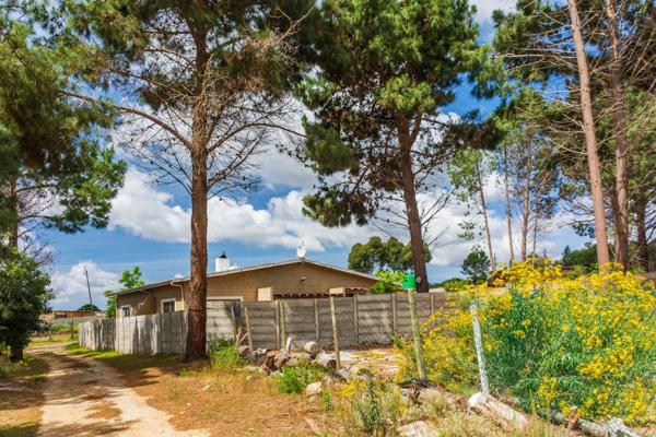 4.2 ha Smallholding