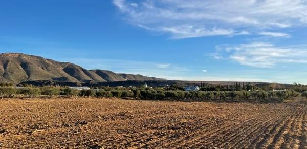 15 ha Farm