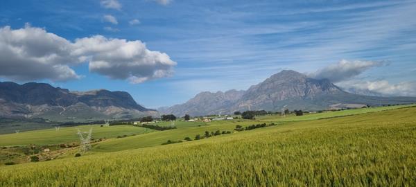 569.2 ha Farm with House