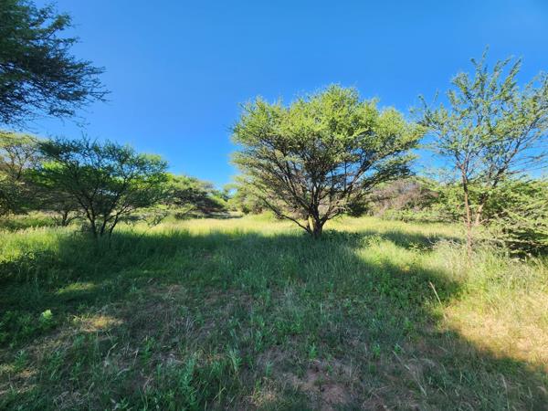 1.9 ha Land