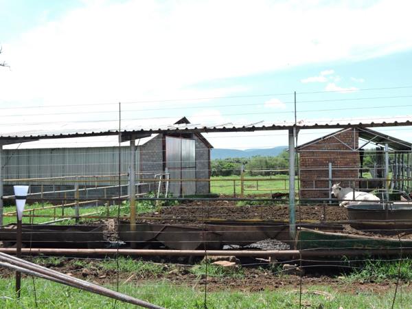 Game Farm