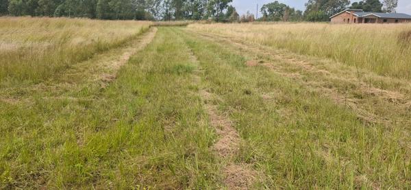 9.1 ha Land