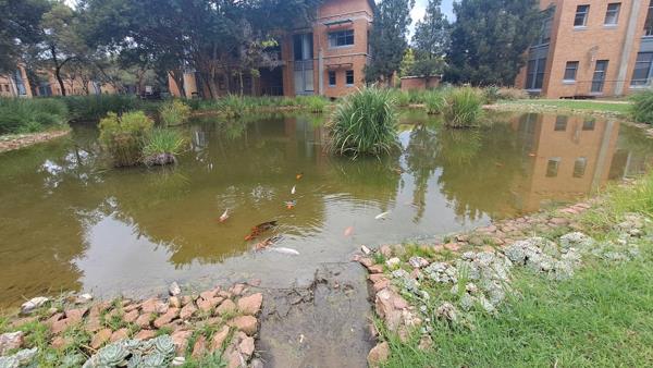 352  m² Office Space