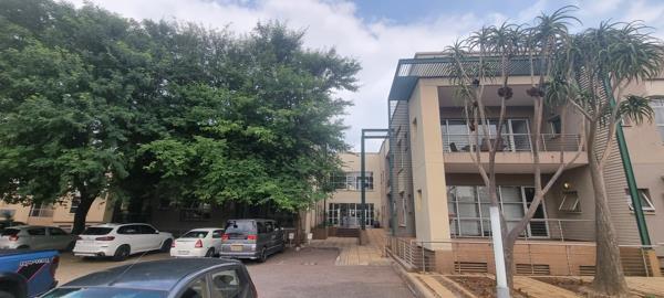 91 m² Office Space