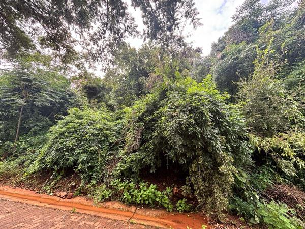 1 041 m² Land