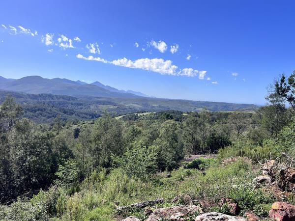 75.6 ha Farm with House