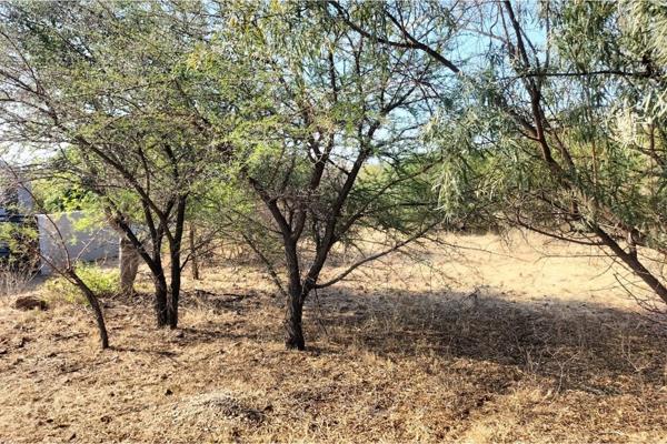 980 m² Land
