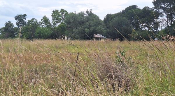 1.8 ha Smallholding