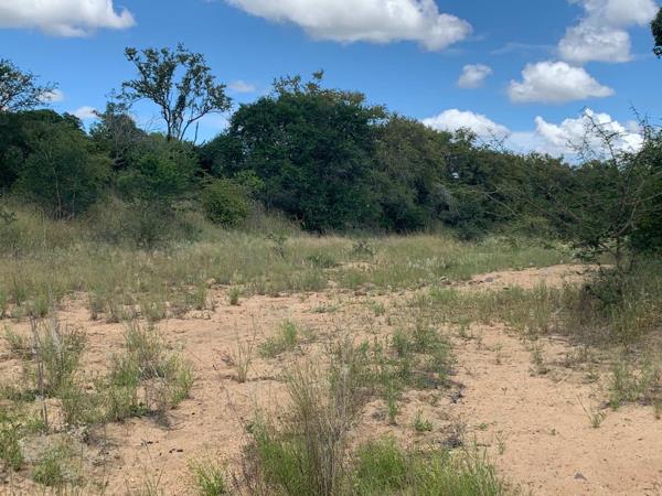 9 134 m² Land