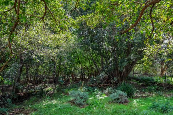 597 m² Land