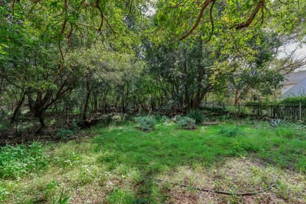597 m² Land