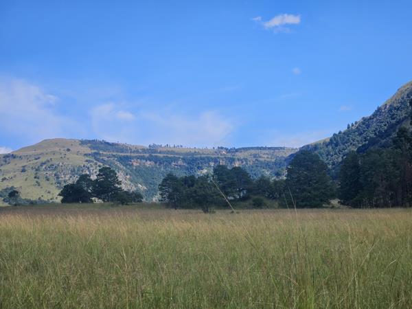 27.3 ha Farm