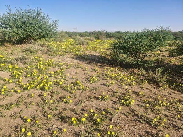 3 951 m² Land