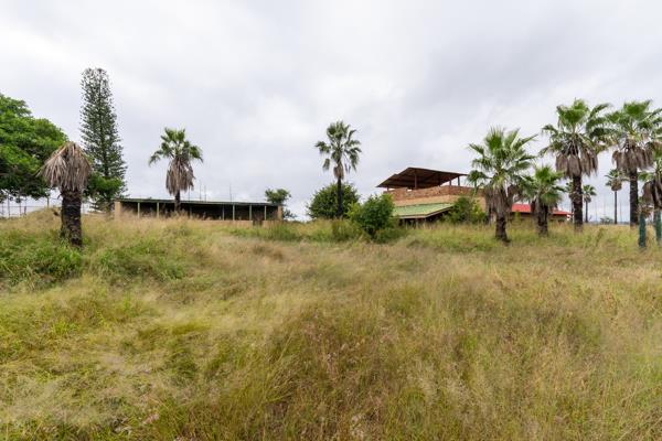 23 ha Commercial Farm