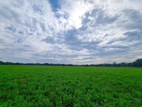 28.9 ha Farm