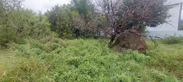 979 m² Land