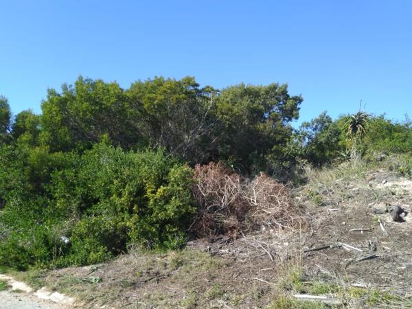 771 m² Land