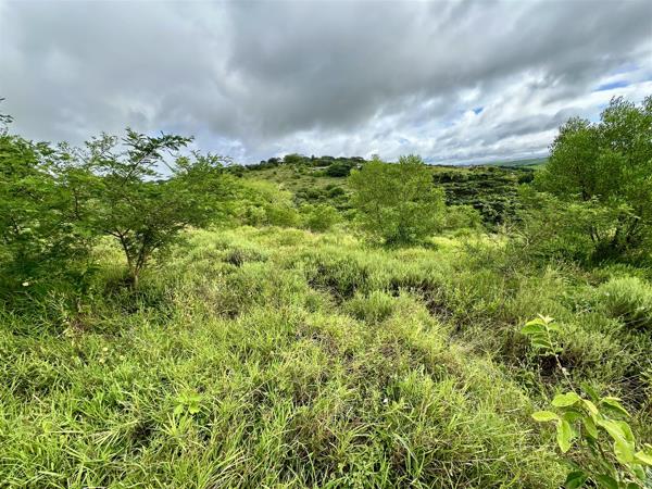 1 574 m² Land
