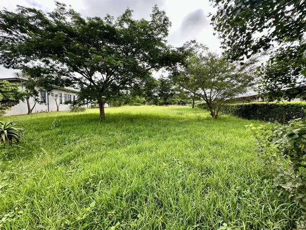 1 501 m² Land