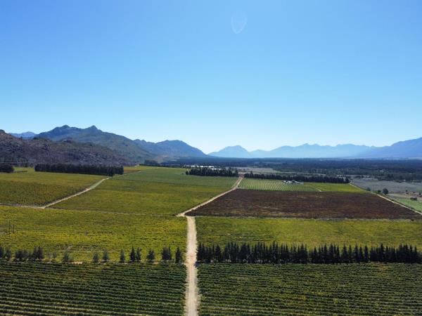 108.6 ha Farm with House