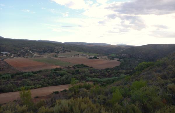 202 ha Farm