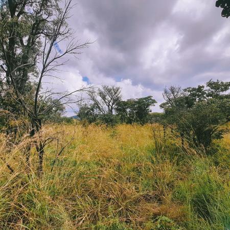 1 m² Land