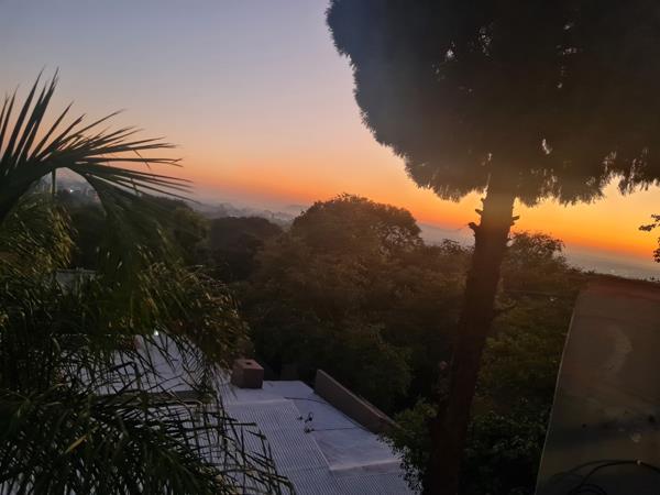 2 000  m² Commercial space