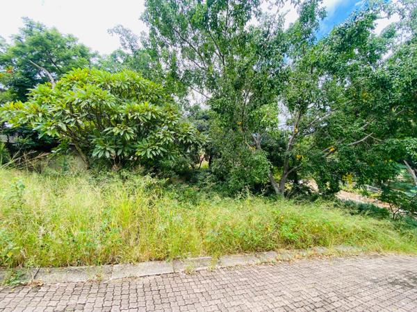 541 m² Land